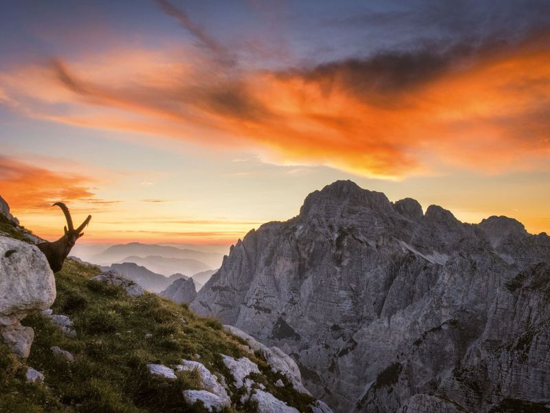 Escursioni nel Friuli Venezia Giulia