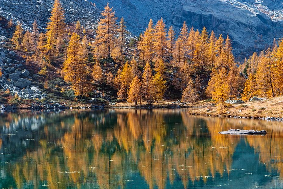 Escursione al rifugio Barbustel e al Gran Lago