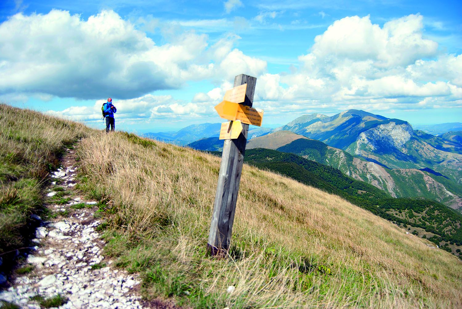 Alta Via delle Marche: come nasce e dove si sviluppa