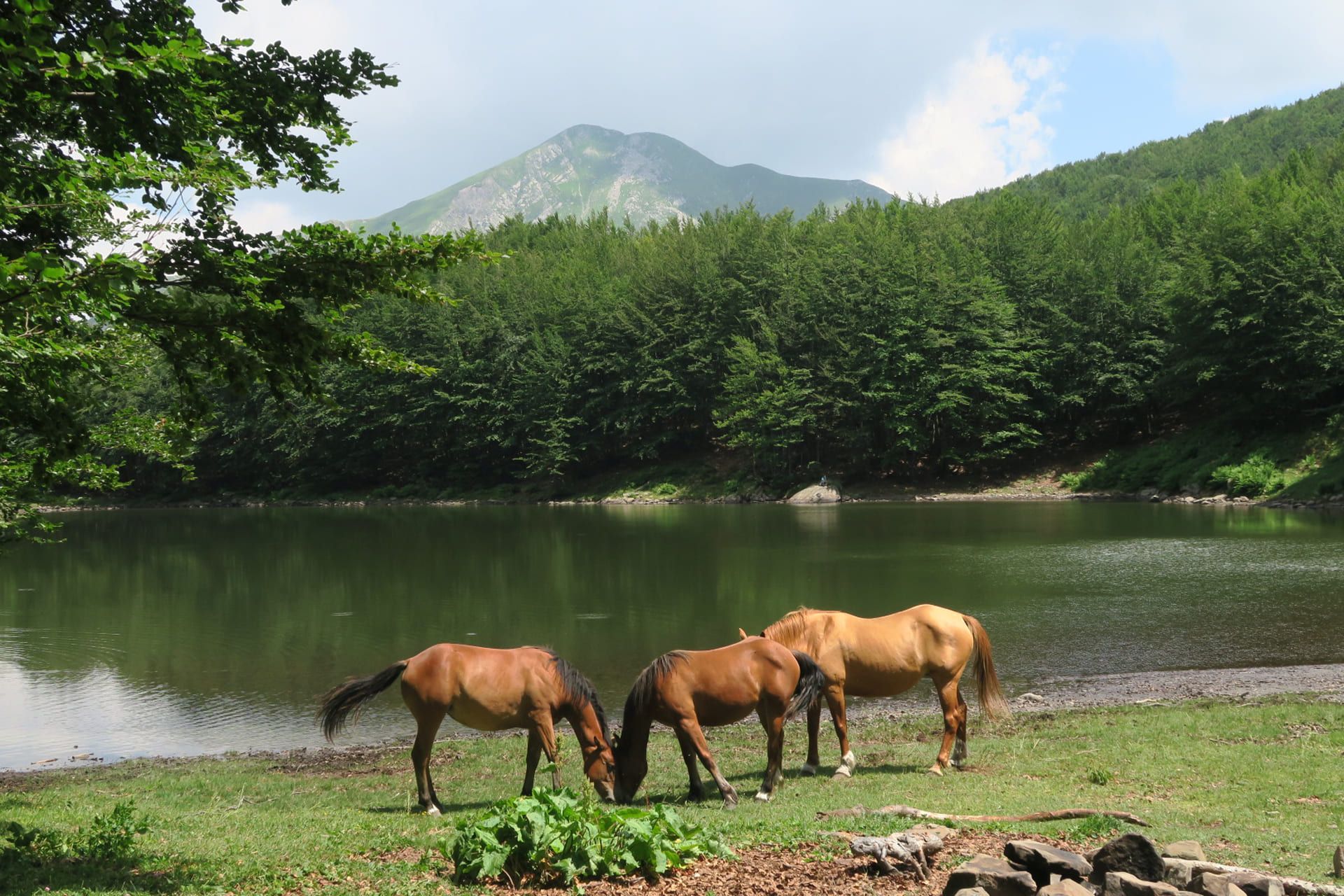 Escursioni in Emilia Romagna
