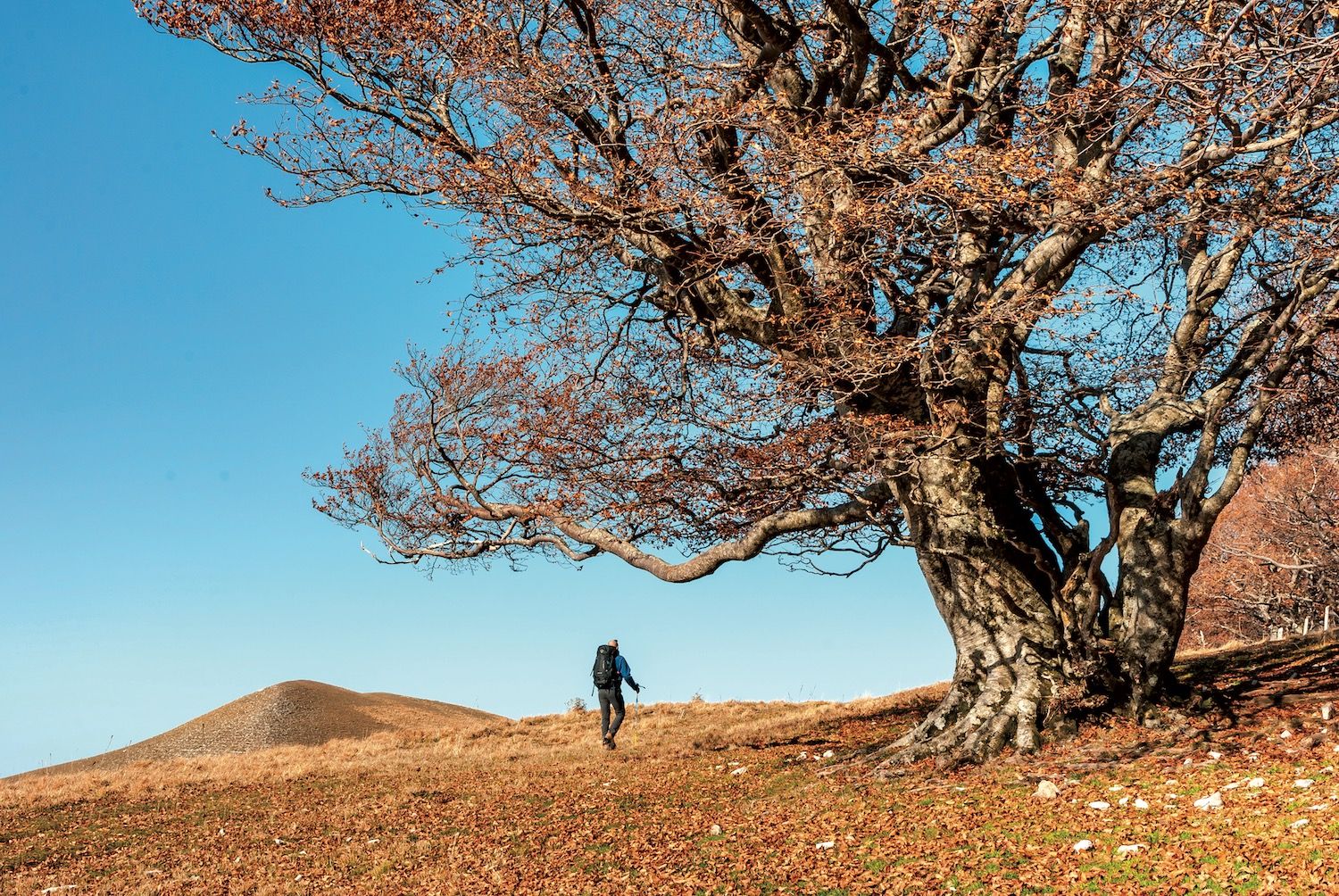 In vetta al Monte Coscerno | Valnerina | Umbria a piedi