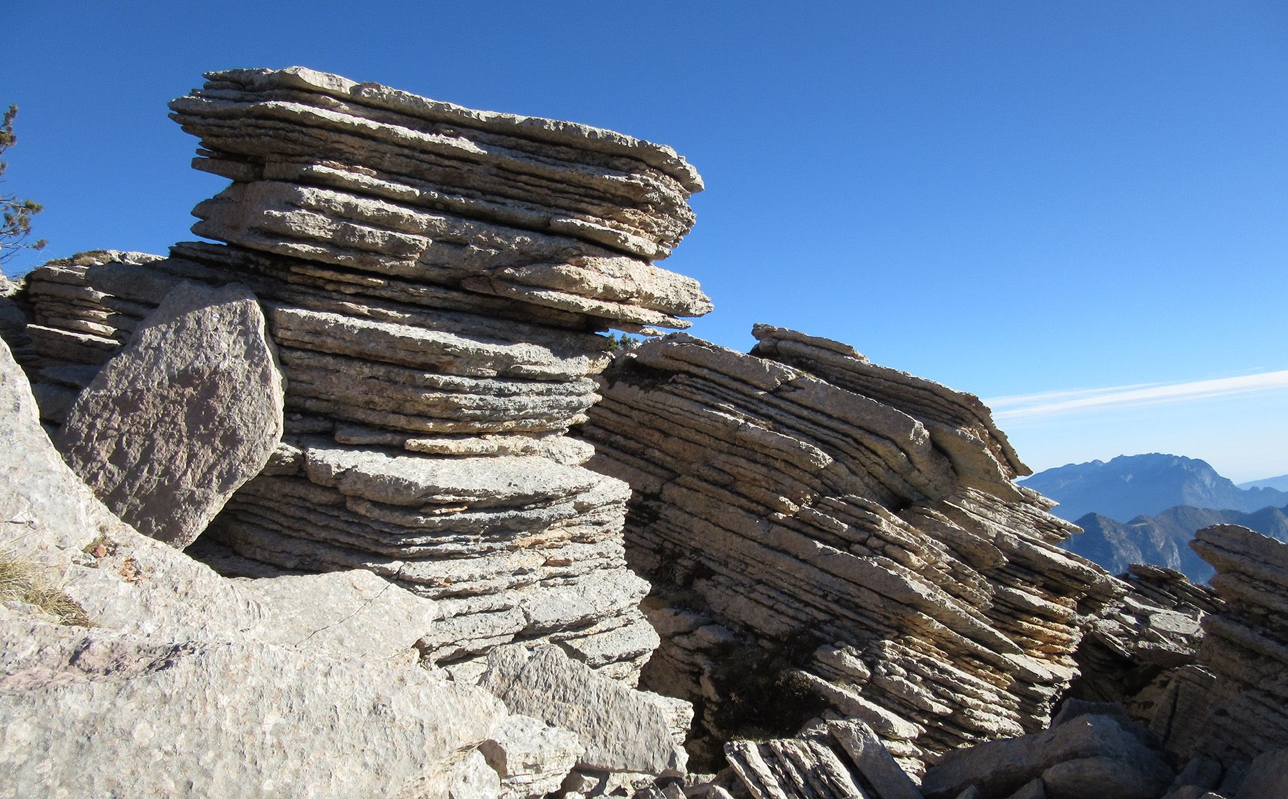 Monte Borgà | Libri di San Daniele | A piedi nel Friuli Venezia Giulia