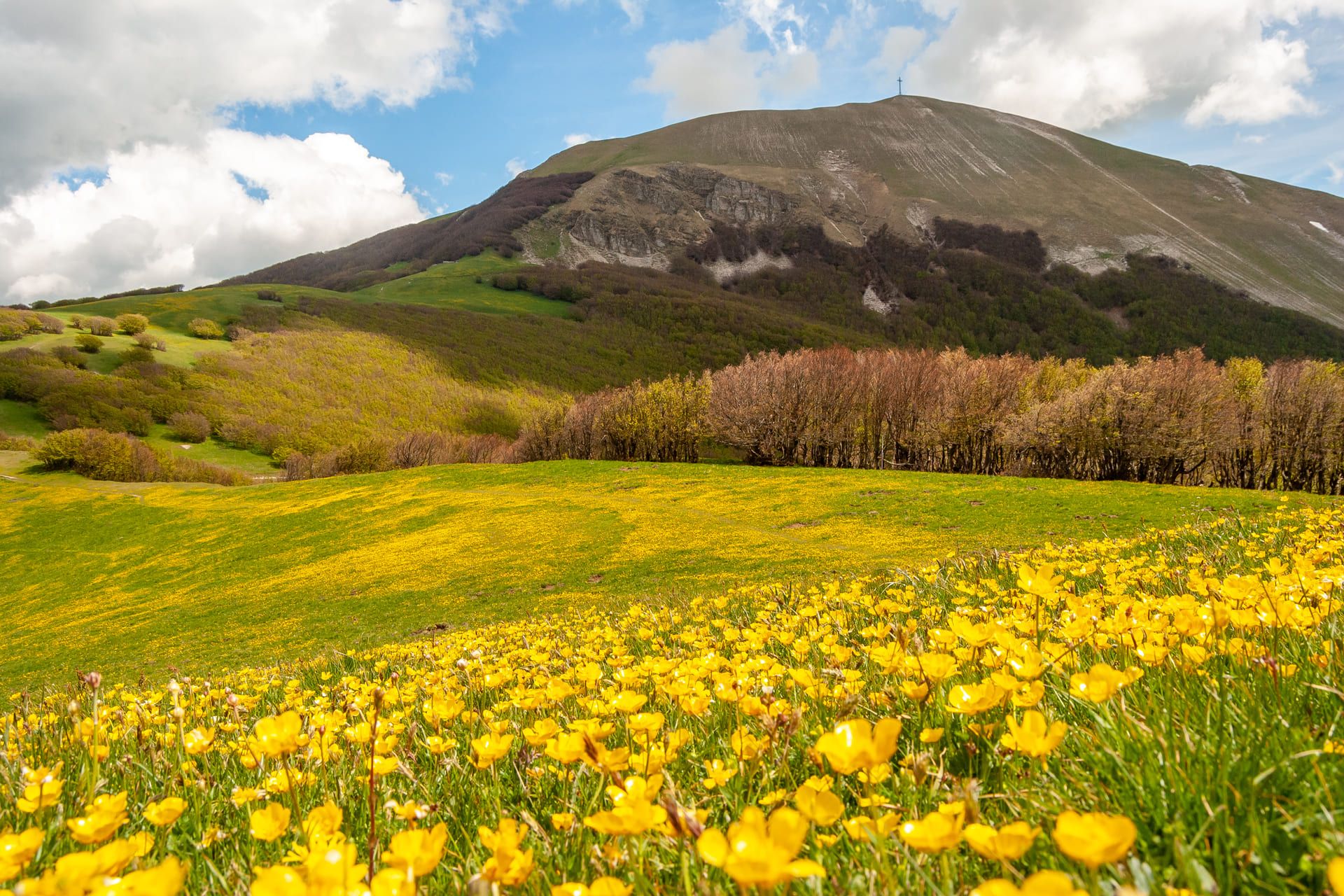 Escursioni nelle Marche