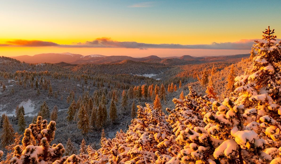 L’Altopiano di Asiago e la Grande Guerra: gli itinerari a piedi
