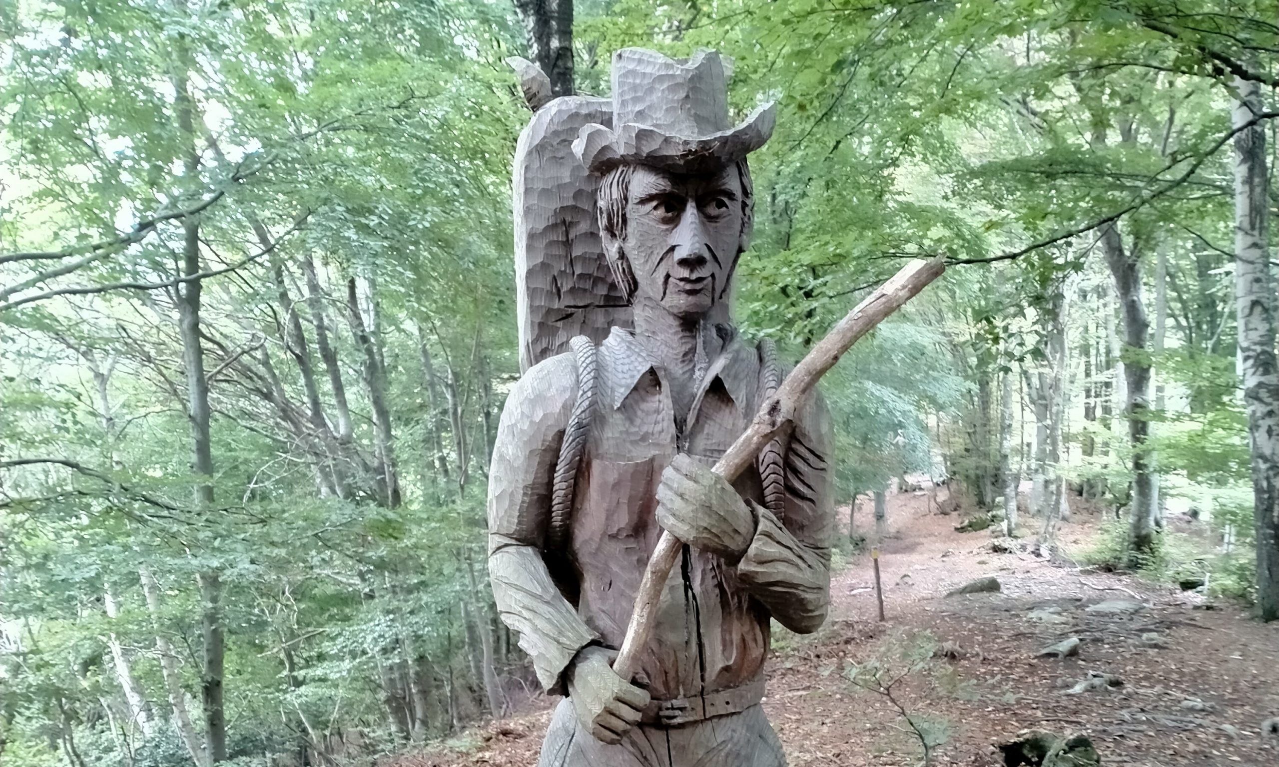 Monte Comana sul Sentiero delle Espressioni