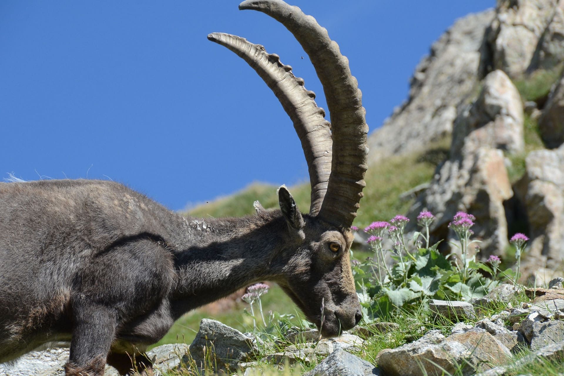 Escursioni in Valle d'Aosta
