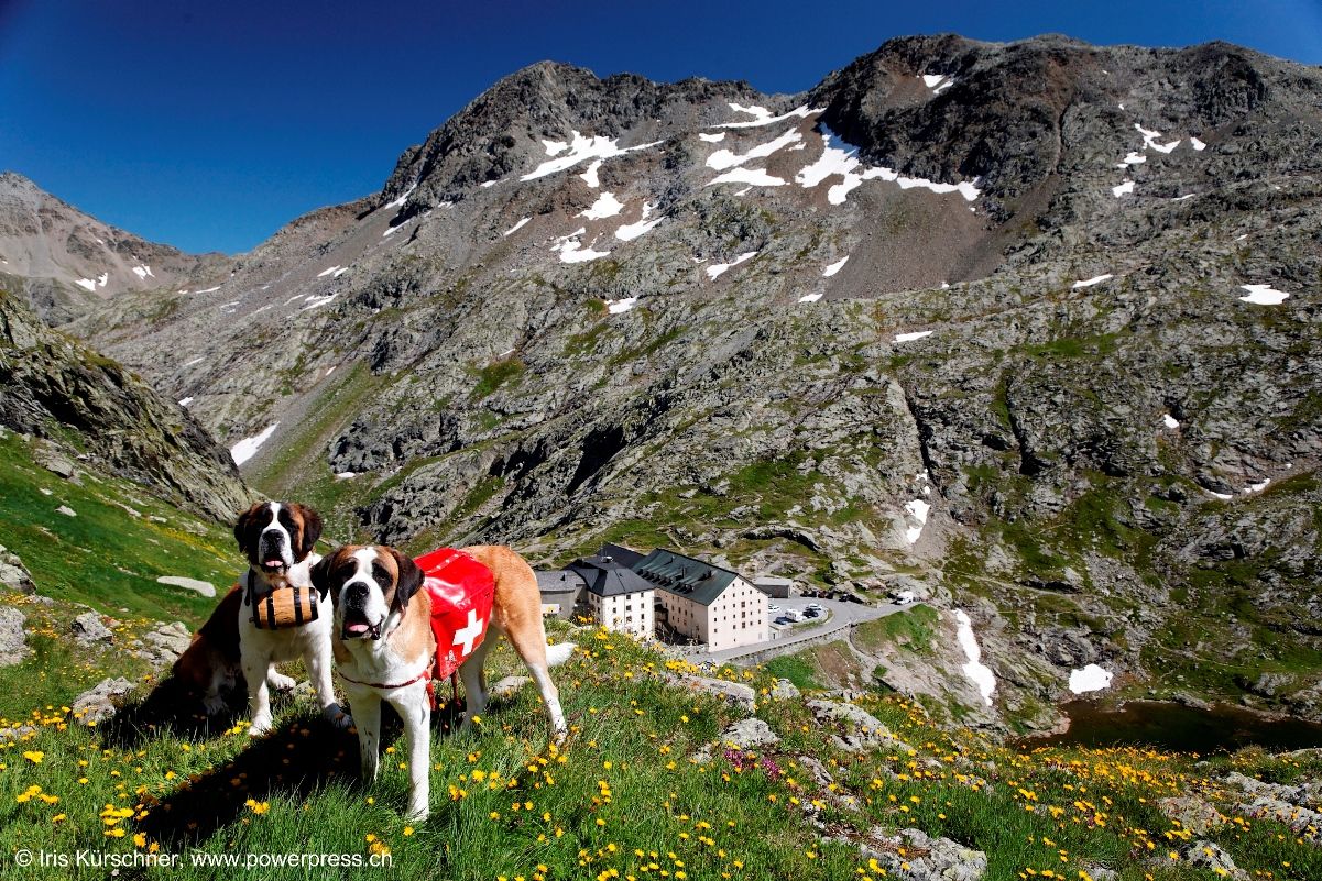 A piedi sulla Via Francigena attraverso il Gran San Bernardo