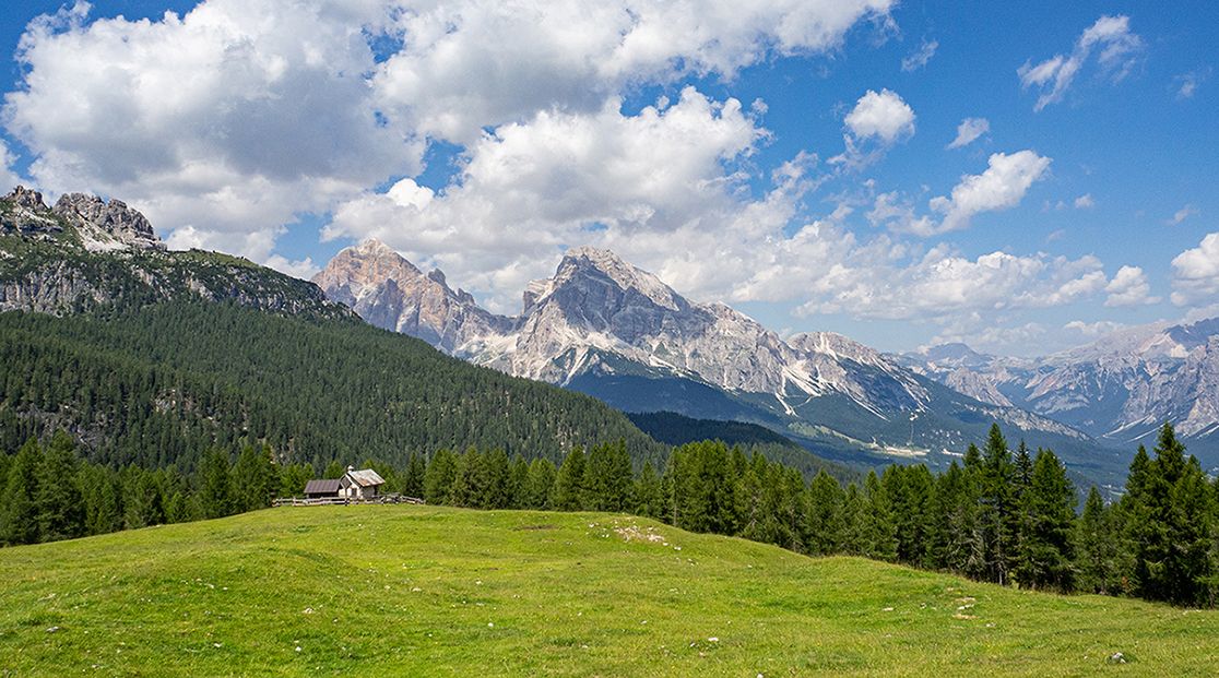 Il bosco di Cianpestrìs e l’altopiano di Federa | Dolomiti di Cortina a piedi