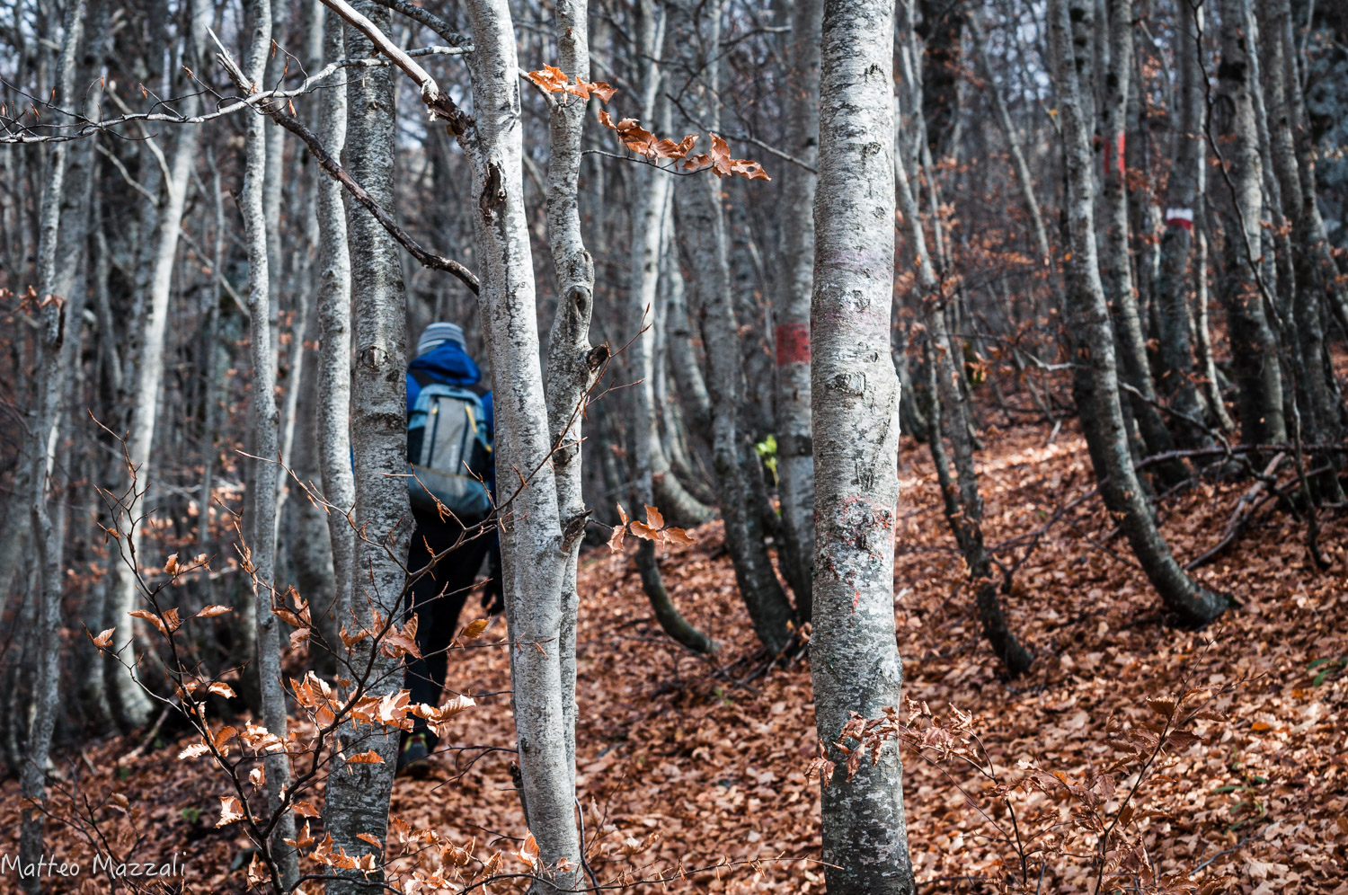 Il meglio dell’autunno camminando per sentieri