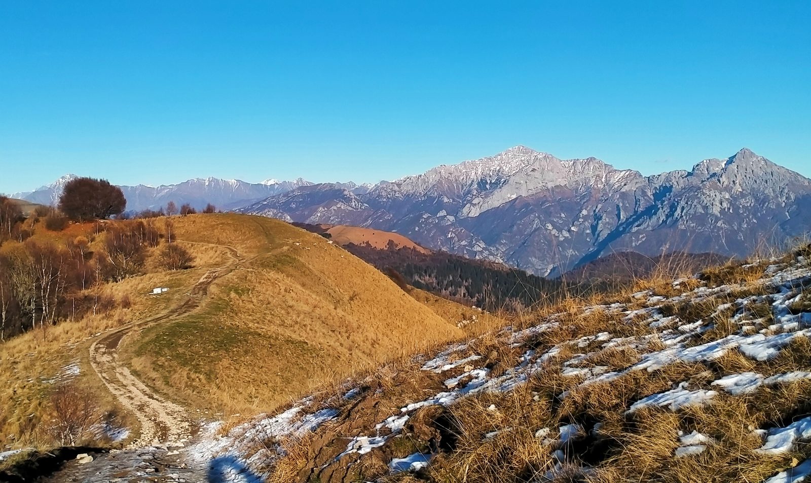 dorsale del triangolo lariano