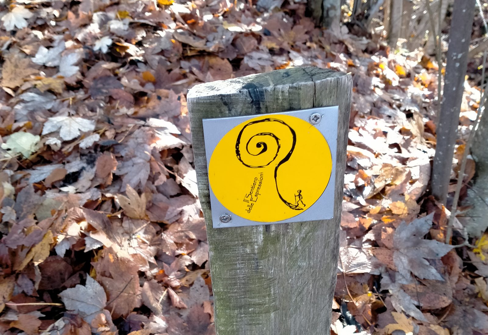 sentiero delle espressioni