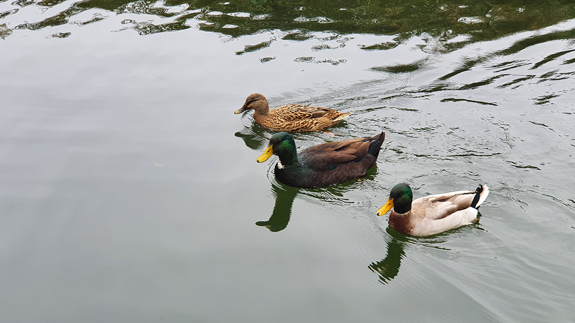 Sentiero delle Acque