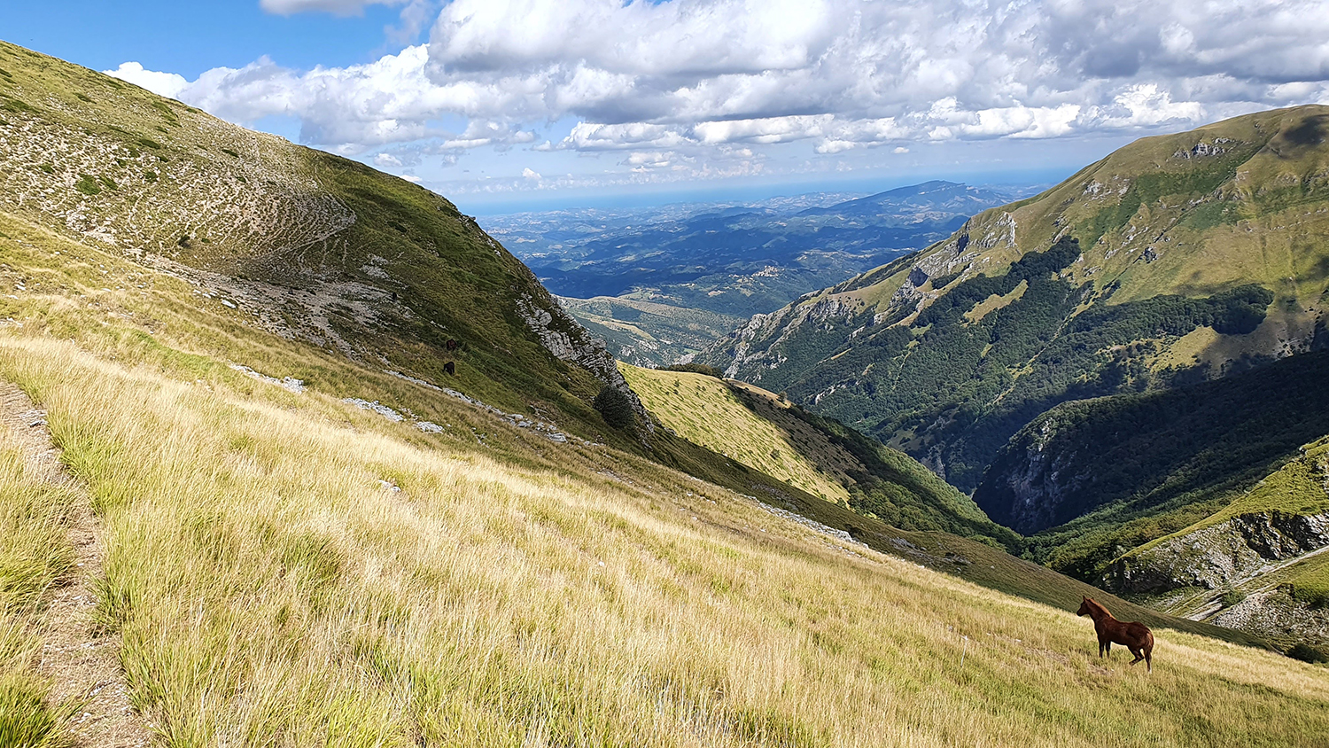 laghetto di palazzo borghese