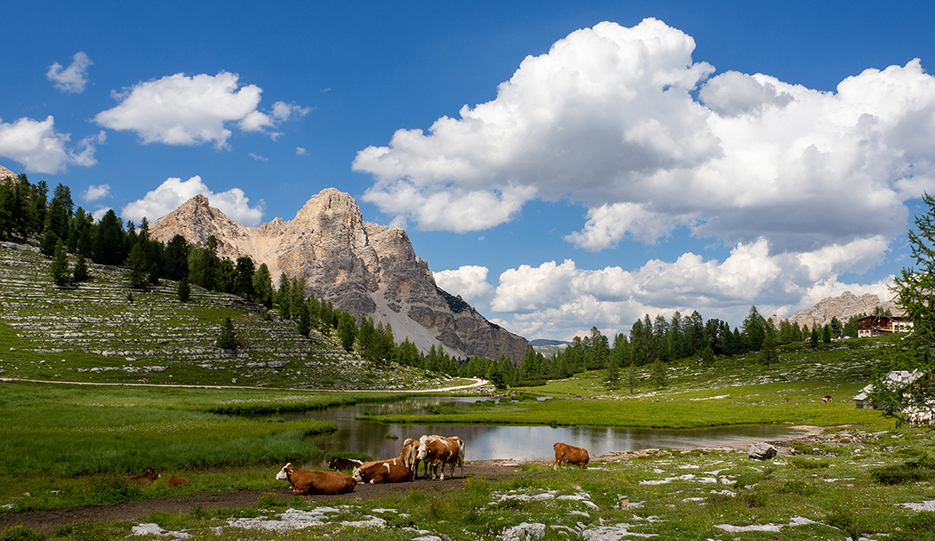 Malga di Gran Fanes e Rifugio Fanes | Dolomiti di Cortina a piedi