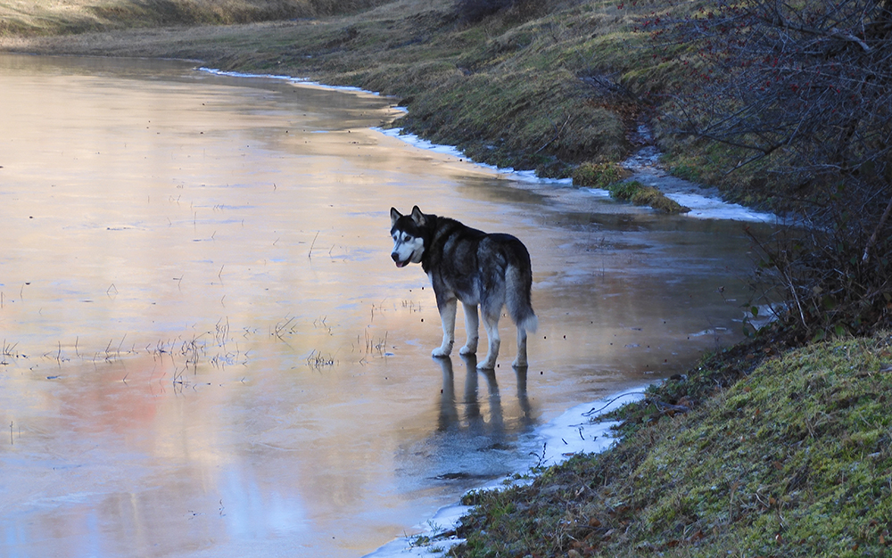 laghetti di Pannicaro