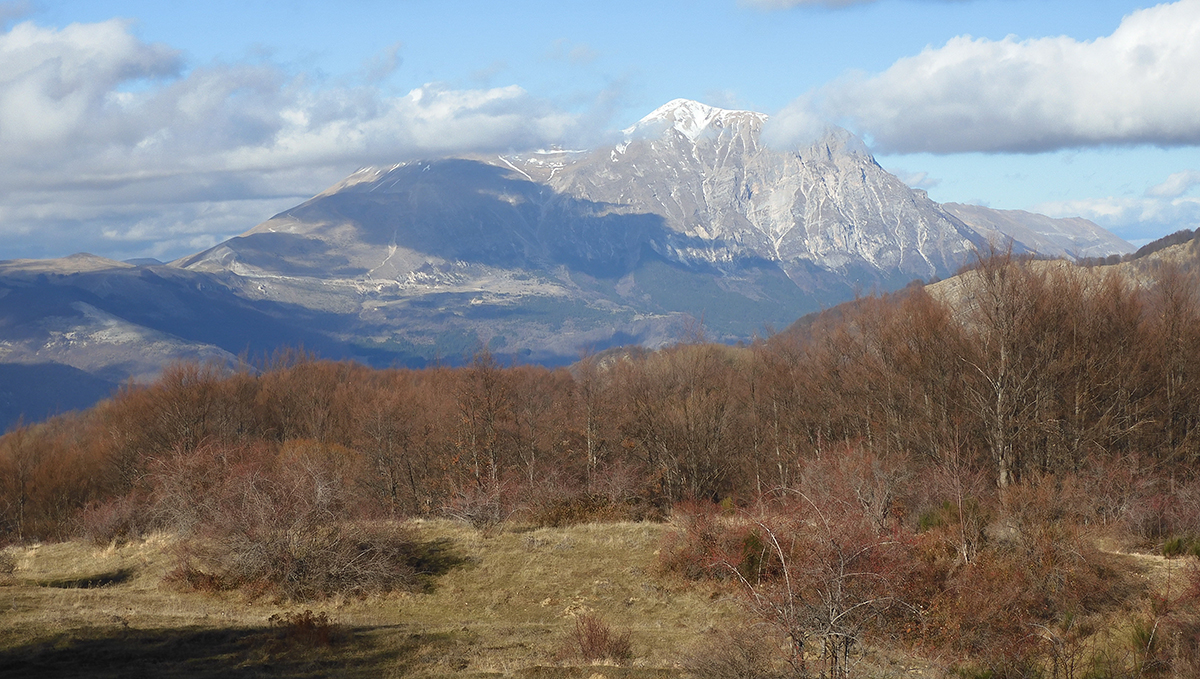 laghetti di Pannicaro