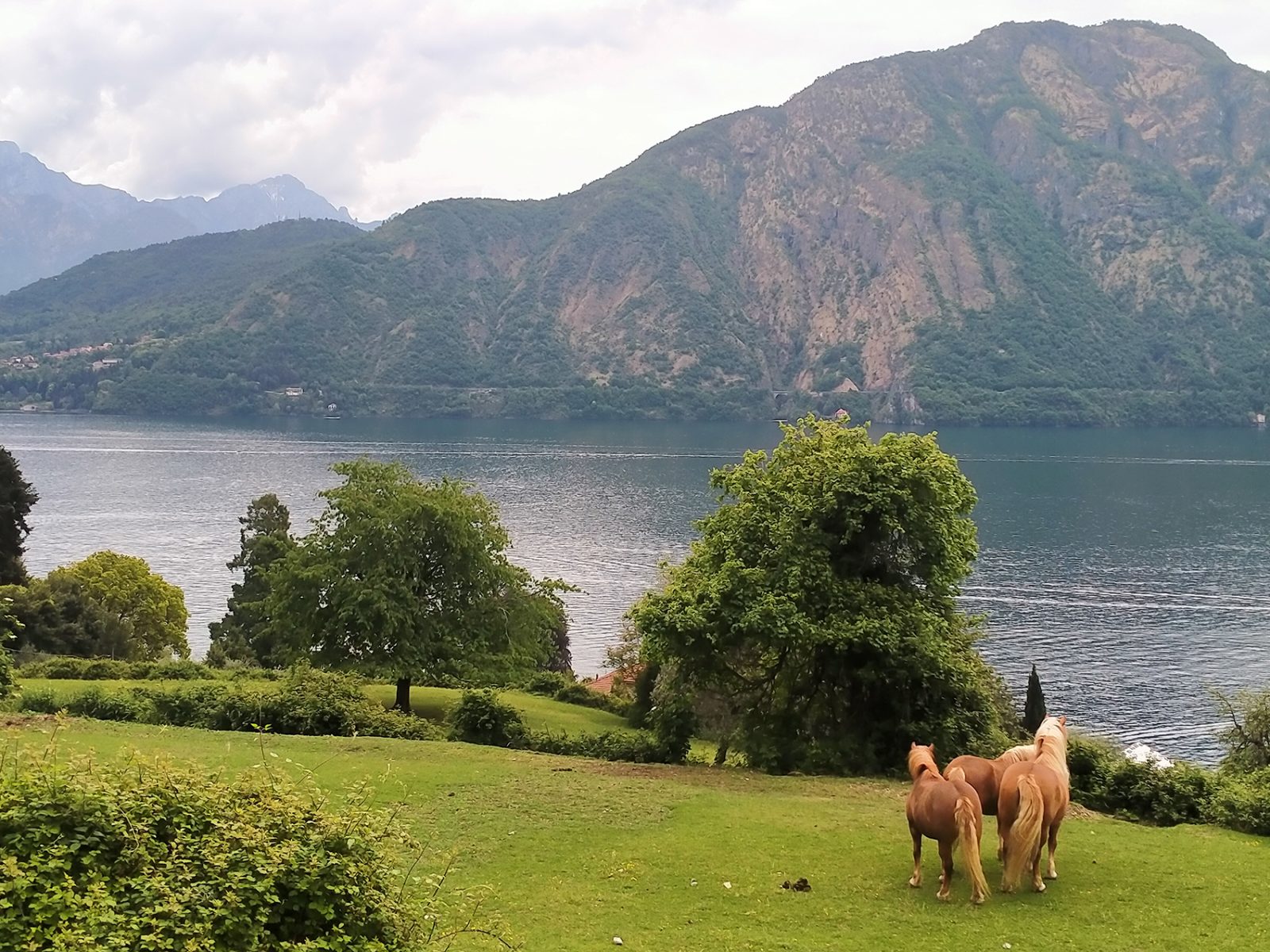 Greenway del Lago di Como