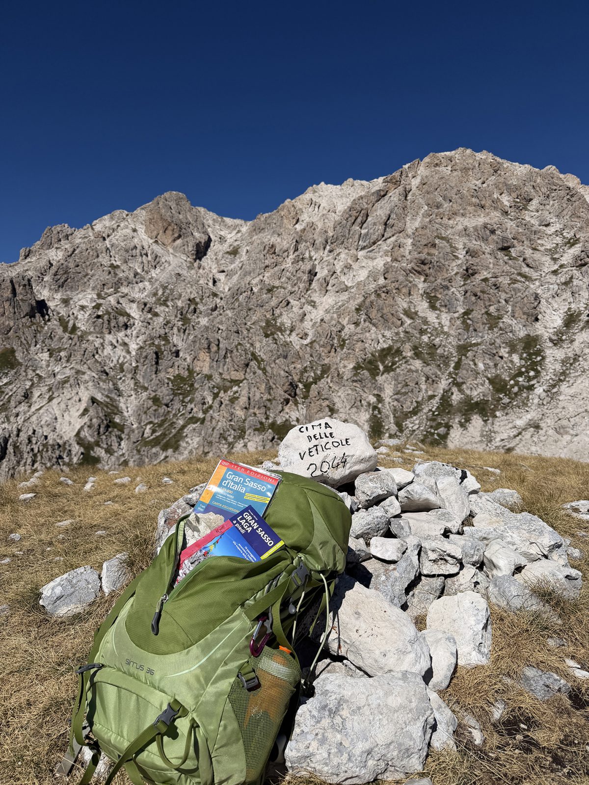 cima delle veticole