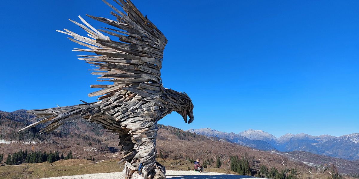 All’Aquila Vaia di Marcesina sul Sentiero dei Cippi